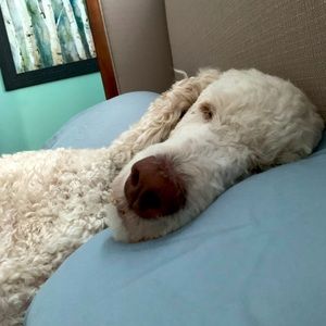 Meet your Posher, Claudine